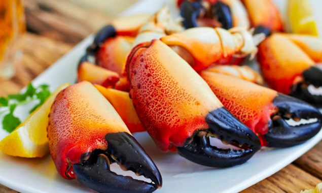 stone-crab-outlet-port-thumb
