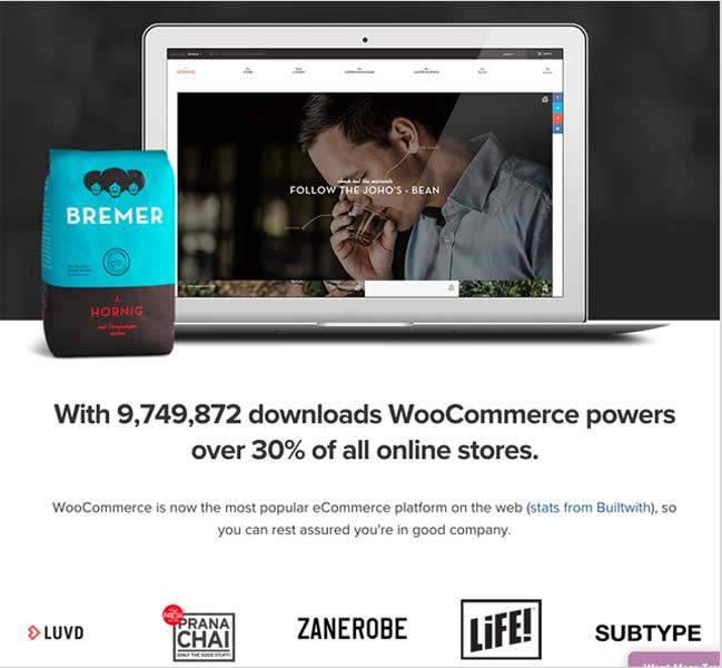 WordPress WooCommerce Ecommerce CMS